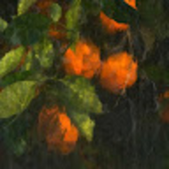 Meet your Posher, Shane - Picture 1 of 1